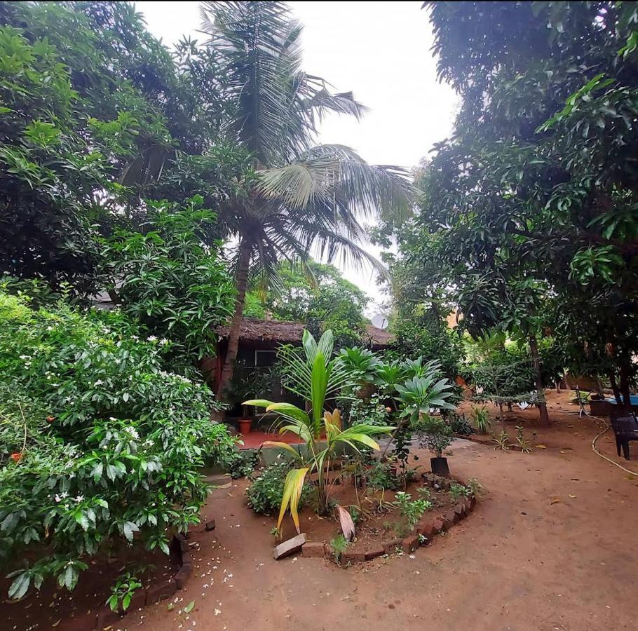 Lotus Riya Home Stay ฮัมปี ภายนอก รูปภาพ